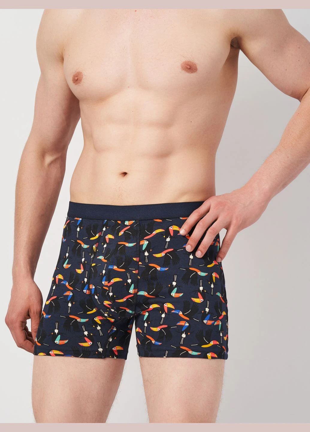 Трусы (3шт) Basic Collection (295404419)