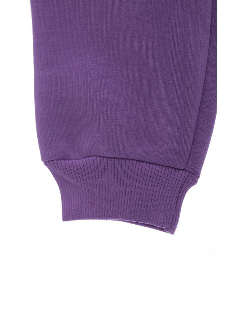 Фиолетовые демисезонные свободные штаны на флисе для девочки meow фиолетовые 104 см (44368) BABYKROHA