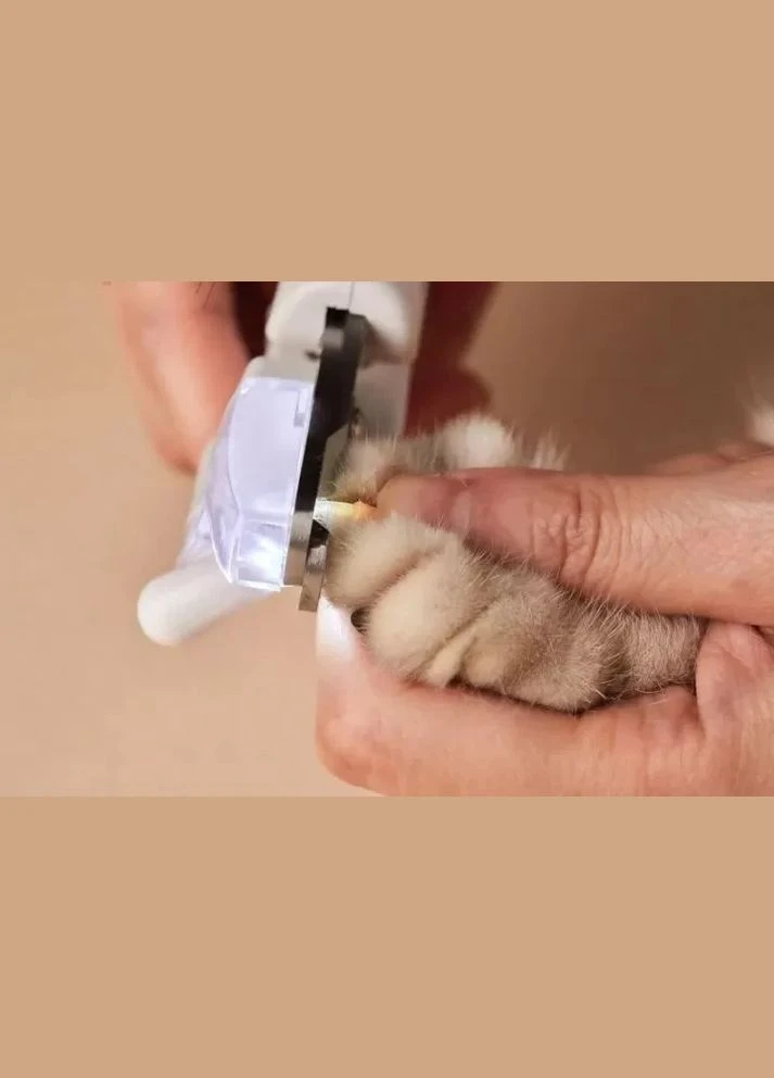 Кусачки LED Pet Nail Clipper PK403 White PETKIT (296647675)