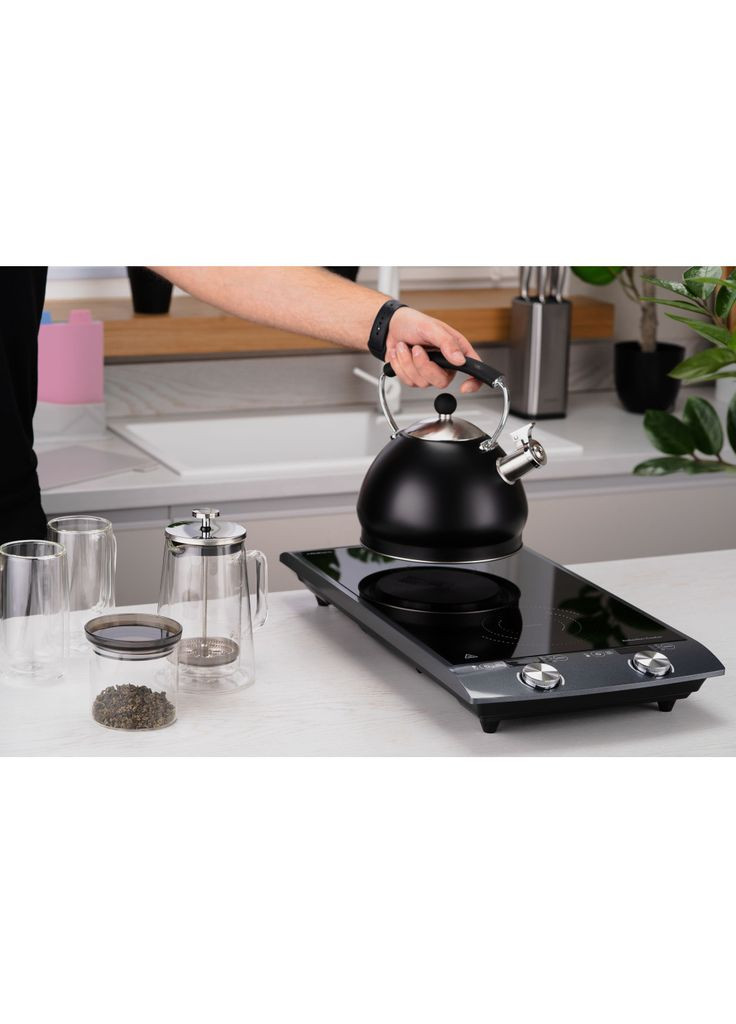 Настільна плита ICS-B216 Ardesto (372613675)