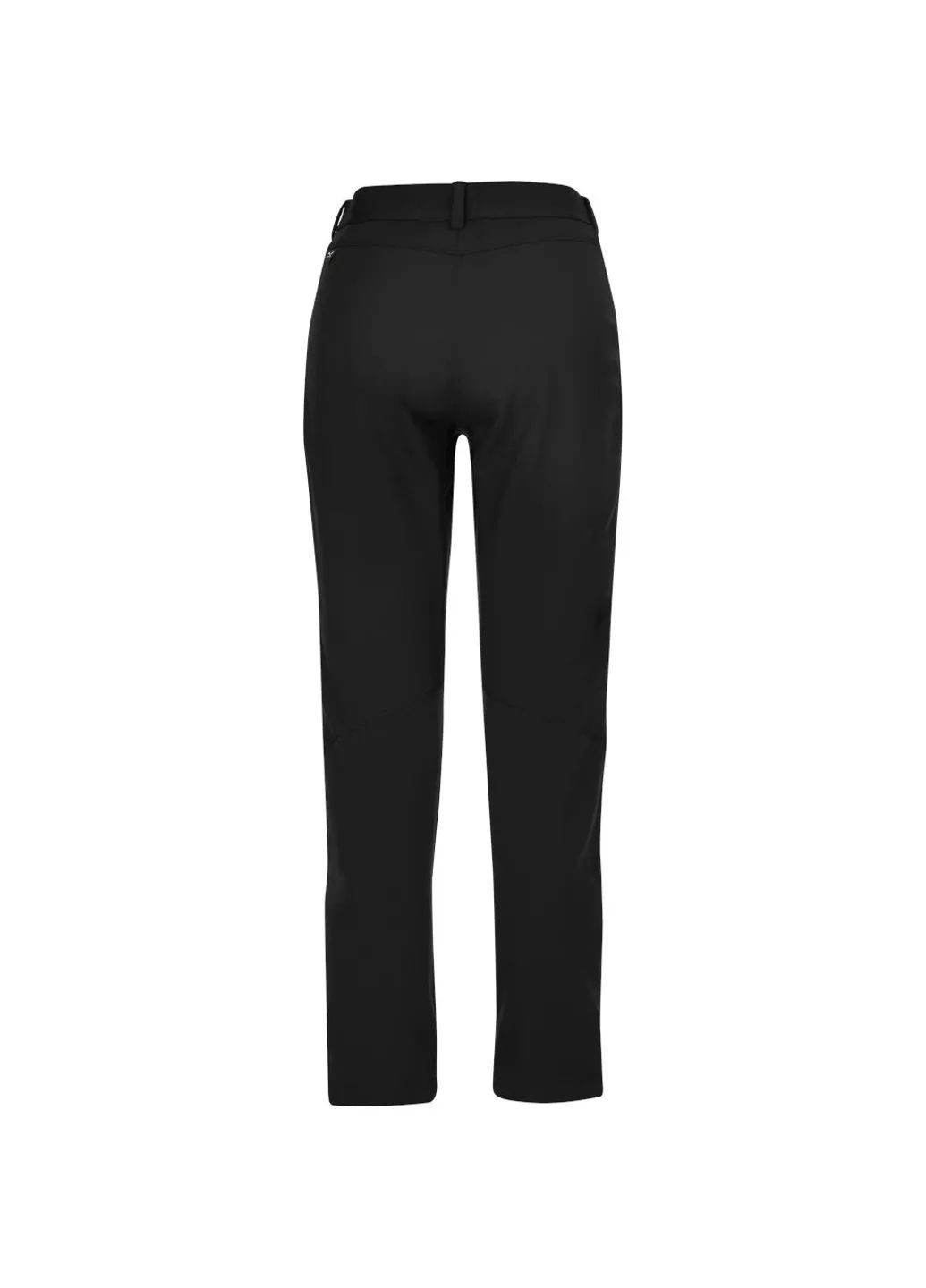 Штани Dolomia Pants Wms Salewa (354781964)