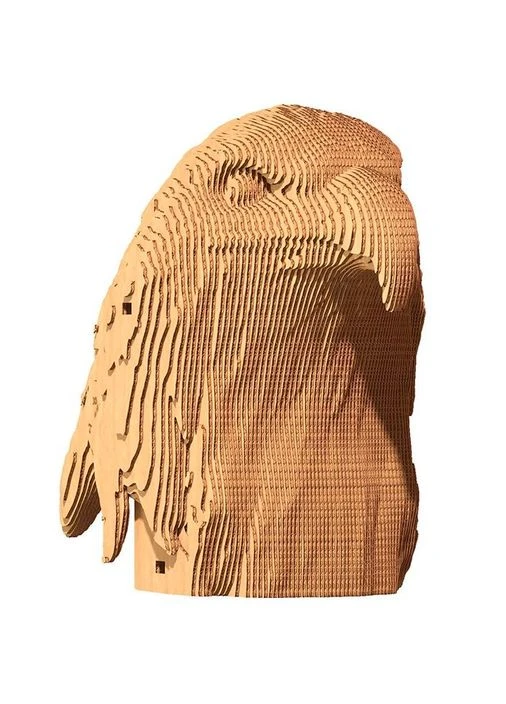 3D пазл EAGLE 73 эл (CARTEAG) Cartonic (323123481)