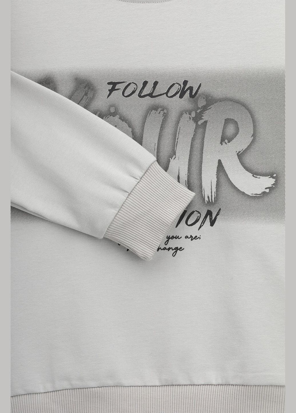 First Kids світшот з принтом для хлопчика 0064 116 см shop (2000990882356) сірий повсякденний бавовна