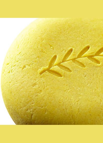 Твердый шампунь с биолипидным комплексом "Citrus" Citrus Shampoo 25g (1160032-177374) Shenko (369134830)