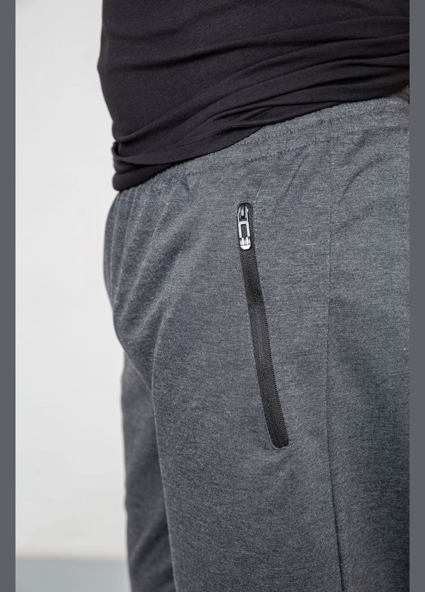 Темно-серые спортивные демисезонные брюки Ager