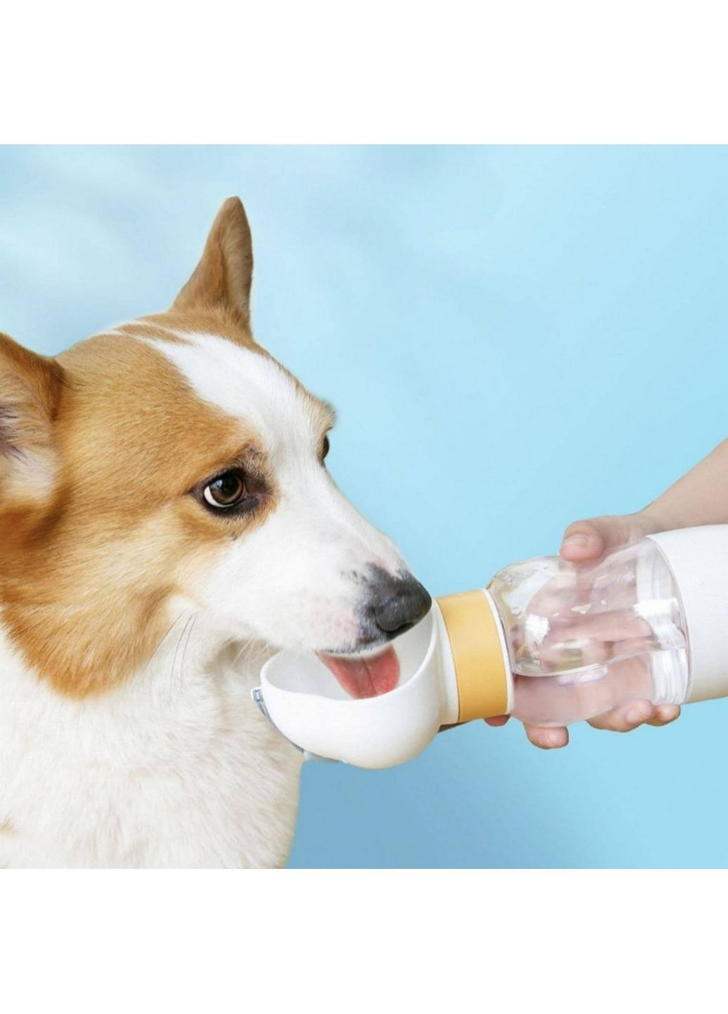 Бутылка-поилка для собак и кошек Foot, 350 мл Semi Line (293419332)