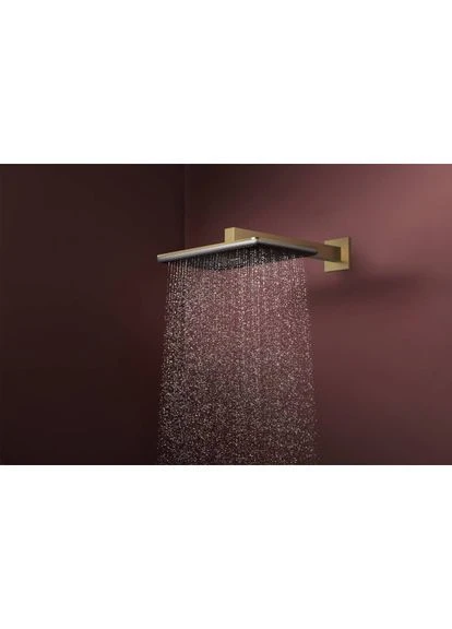 Верхній душ RAINDANCE ALIVE, бронза, прямокутна Hansgrohe (401885154)