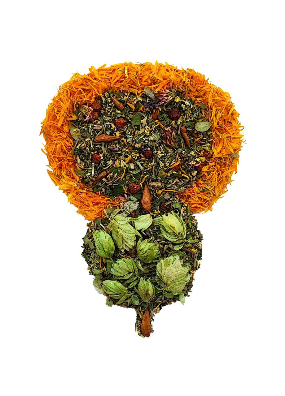 Фіточай №37 «При аденомі простати» – трав’яний збір для підтримки чоловічого здоров’я та полегшення сечовипускання - 150 г Зелена аптека БОРОВИКА (361036760)