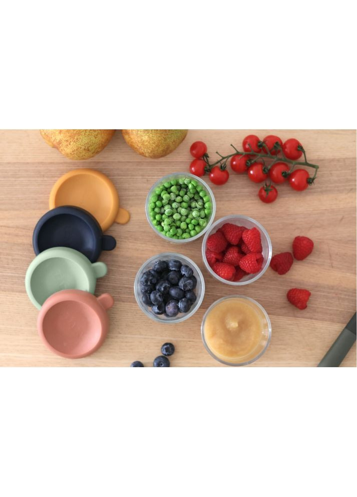 Набор контейнеров для хранения 4 шт. (4х250 мл), ст. 914009 Beaba (369489939)