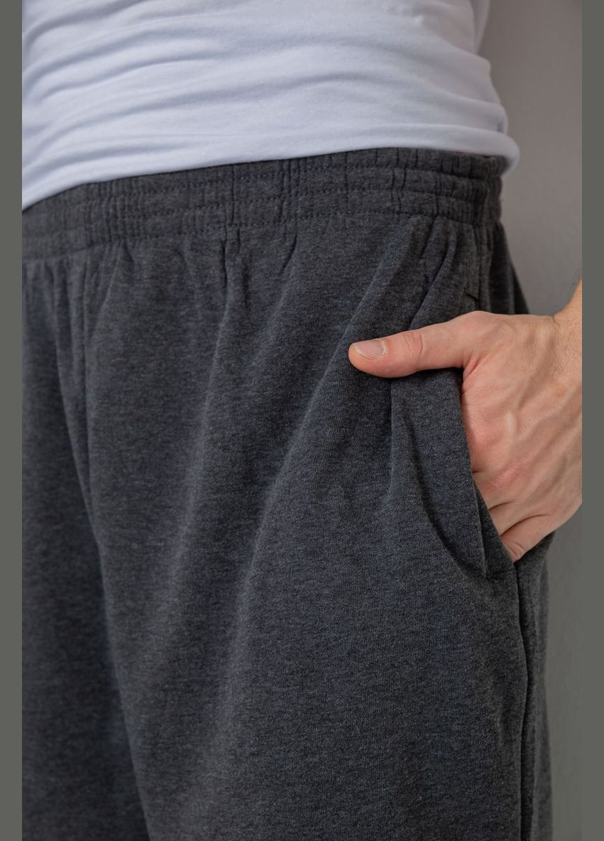 Темно-серые спортивные демисезонные брюки Ager