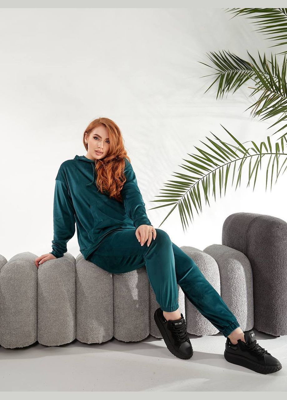 Жіночий костюм велюровий Style Point (345122811)