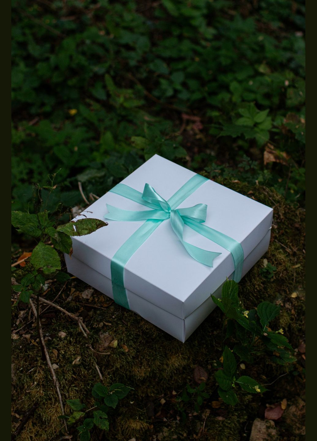 Подарочный набор - Cocoa Box ( в составе: "Молочная ванна Клеопатры" 200г и свеча в кокосе) SANSA (298350347)