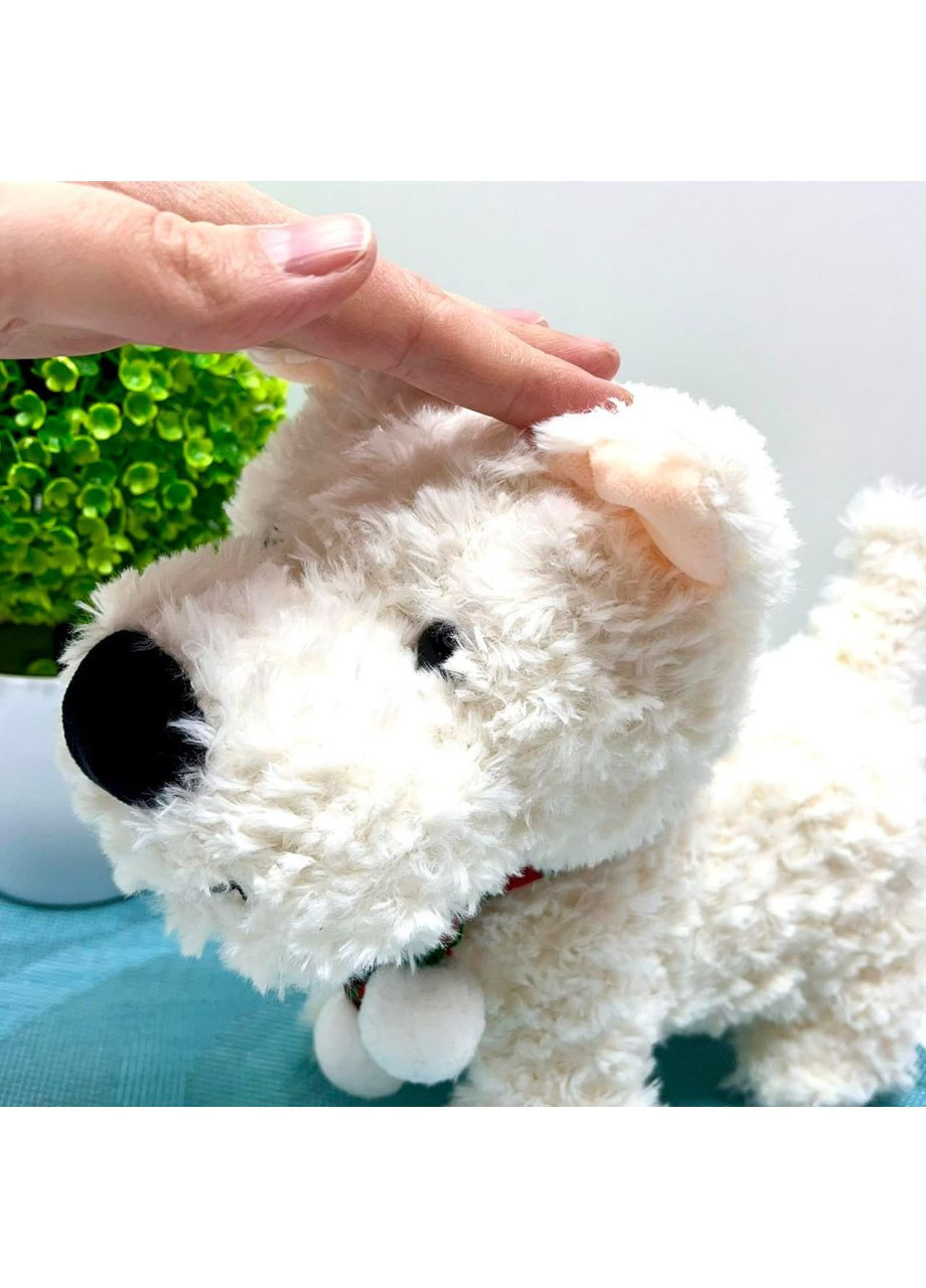 Інтерактивна іграшка No Brand (363263533)