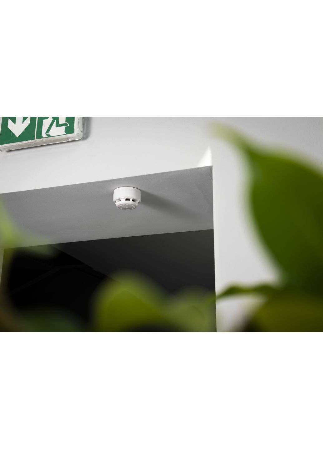 Датчик диму Smoke, бездротовий, білий U-Prox (360396564)