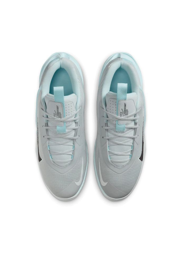 Світло-сірі Осінні кросівки g.t. jump academy fv5524-002 Nike