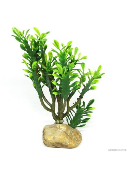 Искусственное растение кактус Euphorbia M 15x7x17см (36999) Hobby (322711556)