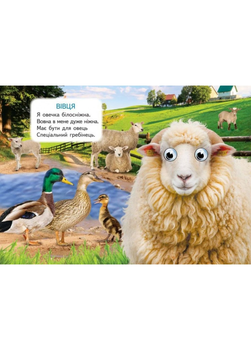 Цікаві книжки з оченятами «Ферма» Віршики для малечі у картонному форматі (9786178405694) Пегас (327879048)