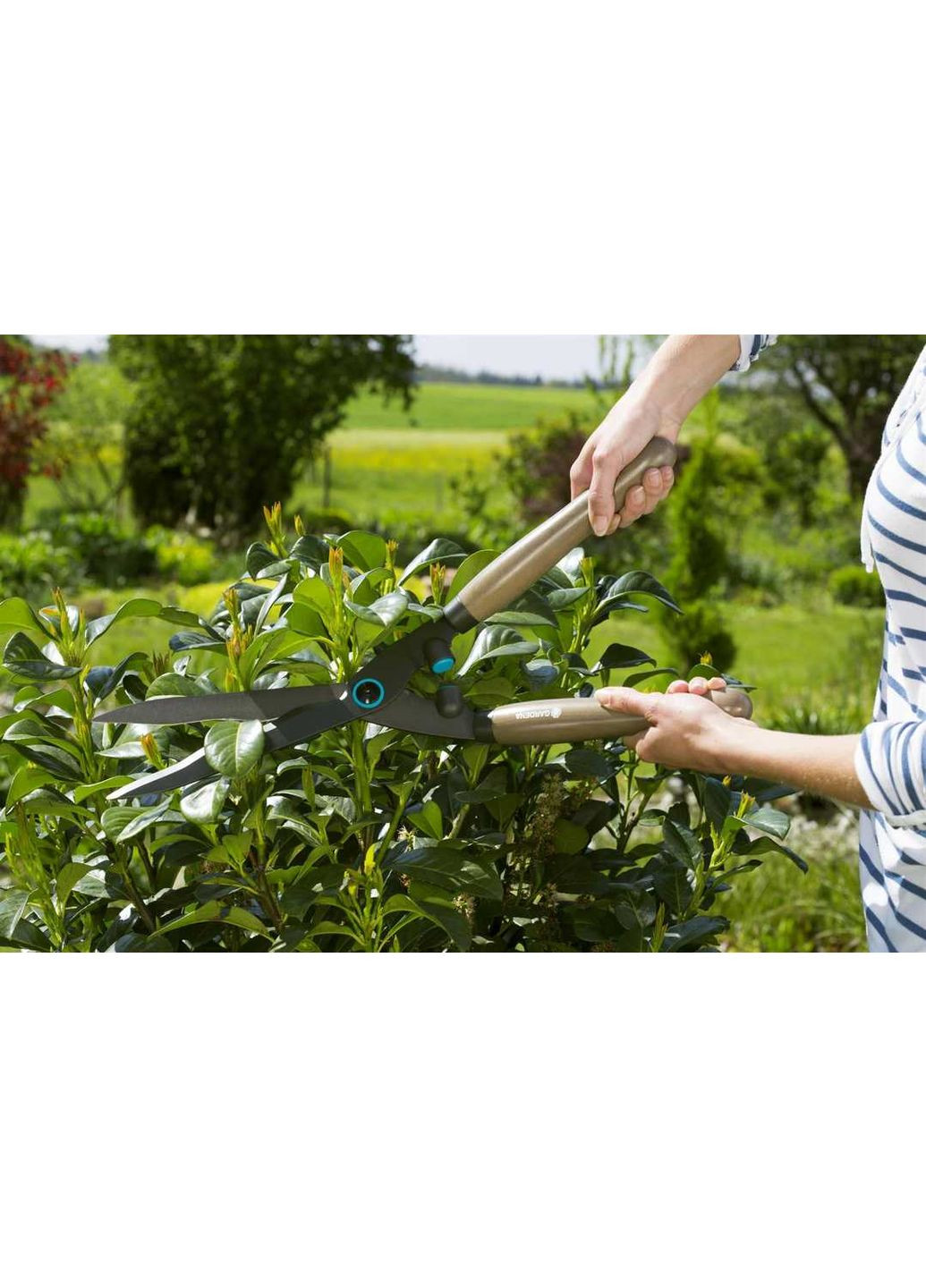 Ножницы для живой изгороди NatureCut (12300-20.000.00) Gardena (351855662)