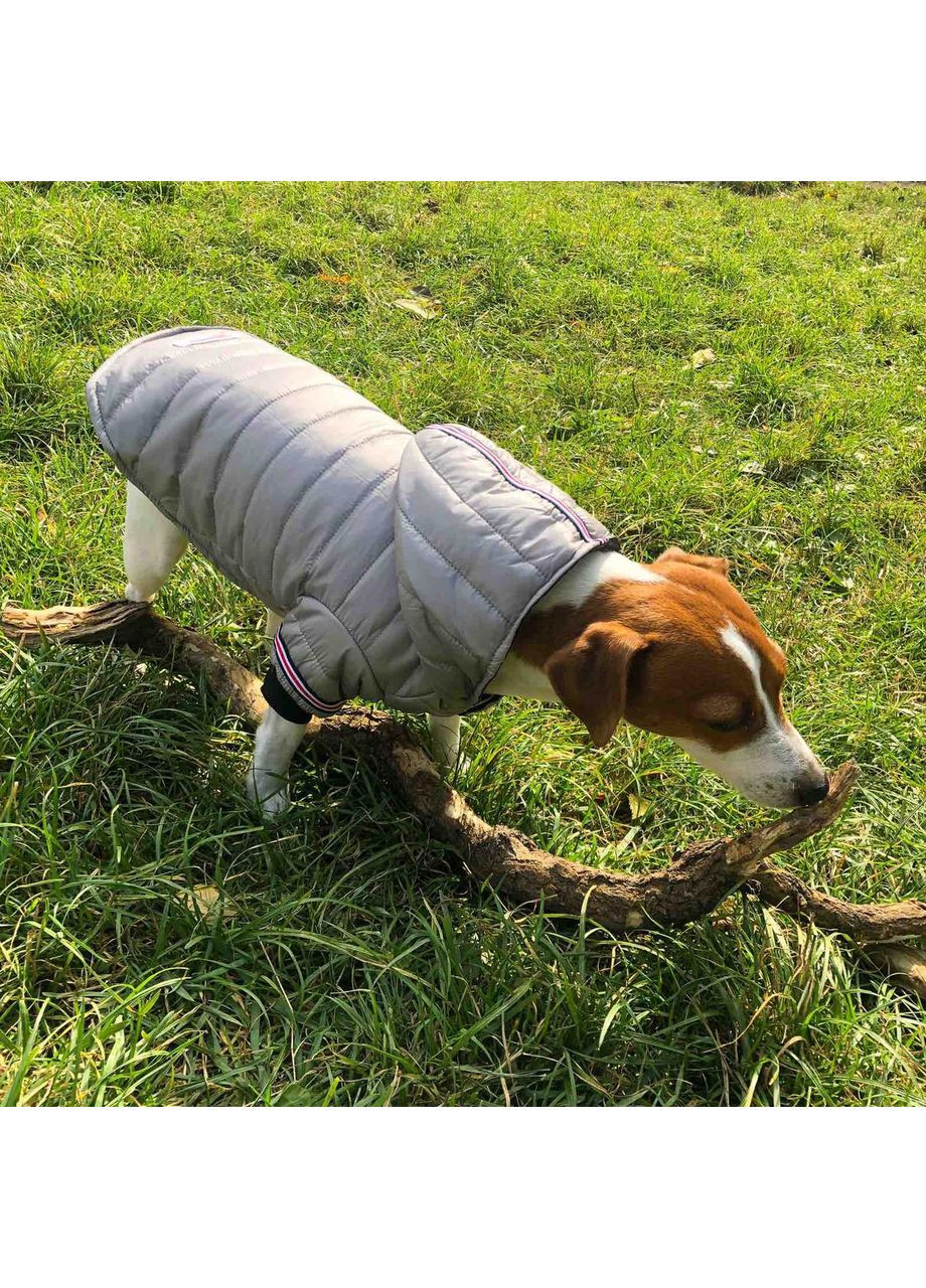 Куртка для собак Fashion Стиль и тепло на каждой прогулке No Brand (362571899)