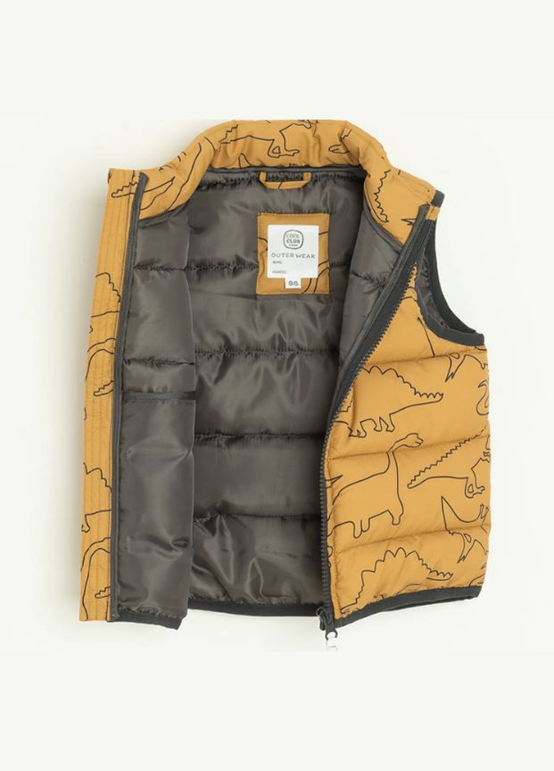 Жилет демісезонний Cool Club (302396027)