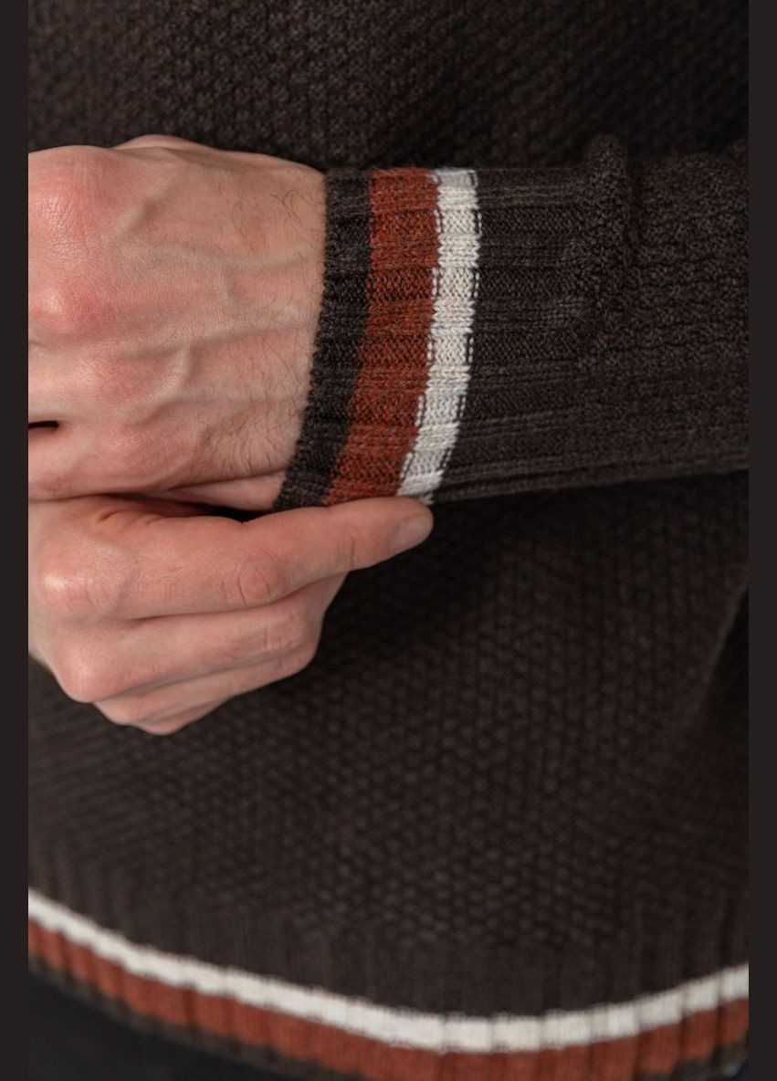 Темно-коричневий зимовий светр чоловічий, колір світло-бежевий, Ager