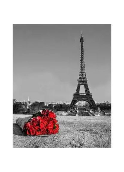 Алмазная мозаика Романтический Париж и розы 40х50 см SP1002-3 ColorArt (290192158)