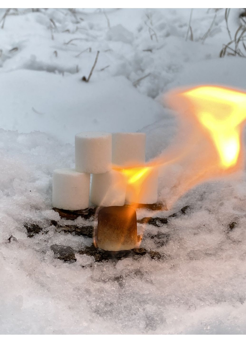 Сухой Спирт No Brand (362677251)