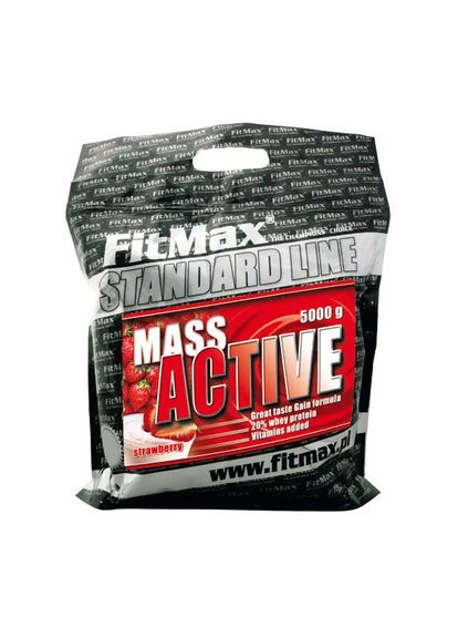 Mass Active 20 (4 кг, ваниль) FitMax (395935070)