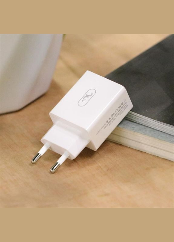 Зарядний пристрій SC30V (2USB, 2.1A) White (SDMZP-000114) + кабель microUSB SkyDolphin (336954990)