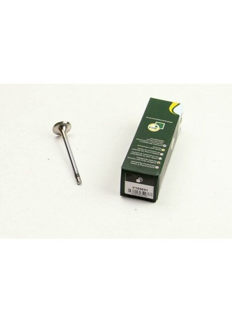 Клапан двигуна EX VAG CBAA/CBAB 26X6X99.1 V165651 BGA (366169427)