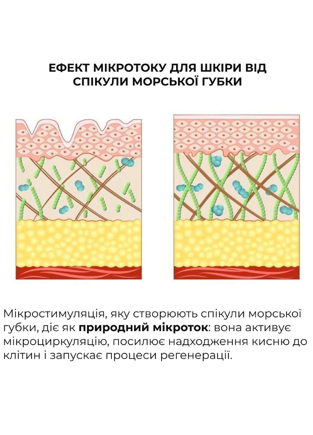 Сыворотка для глубокого обновления кожи DeepRenew Trio Serum, 30 мл Hillary (361784489)