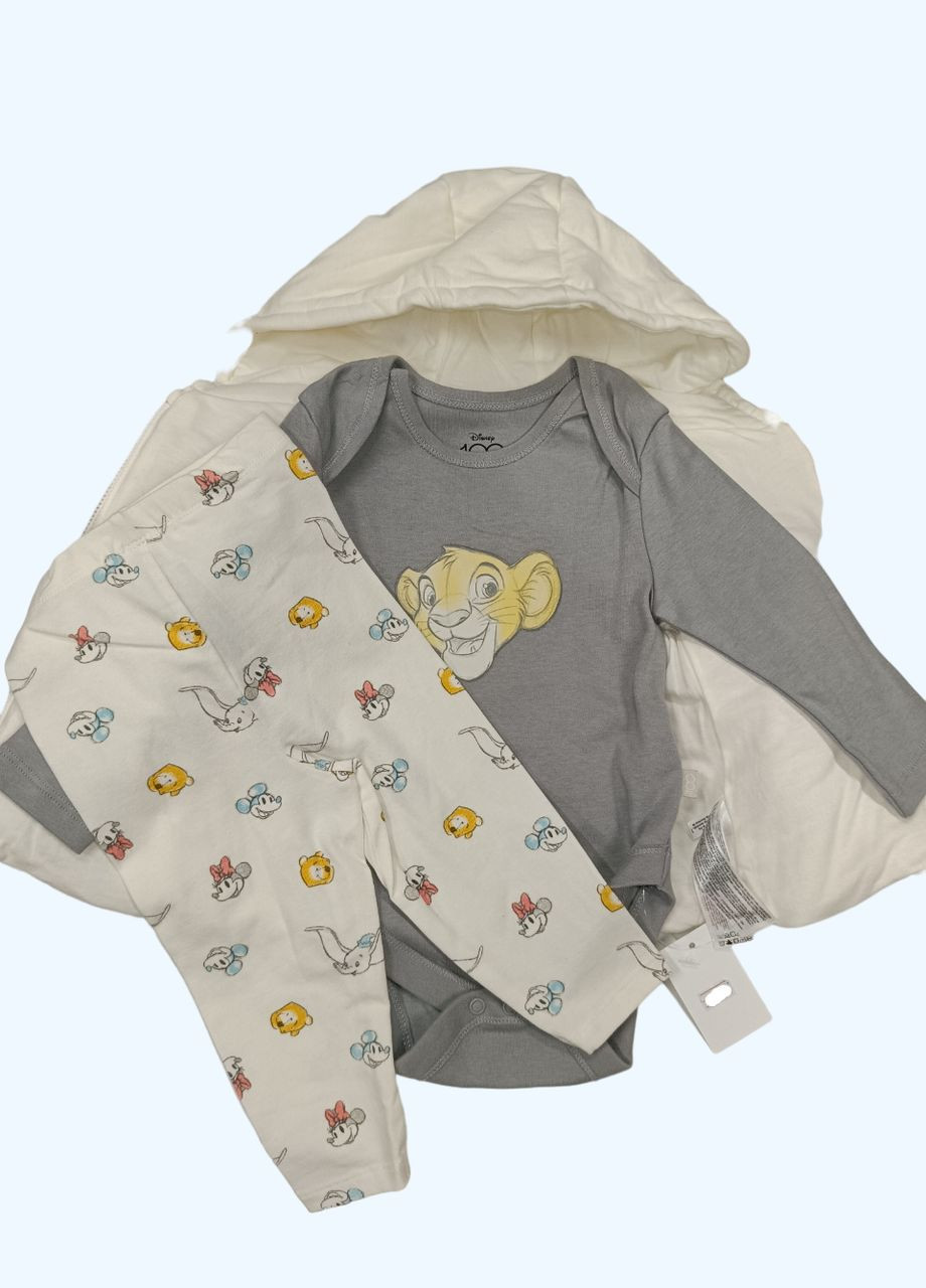 Комбінований демісезонний костюмчик трійка дитячий трійка Primark