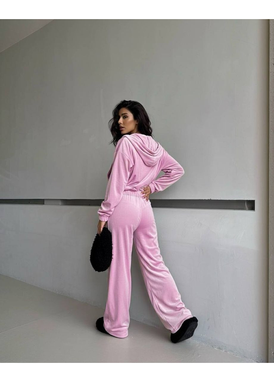 Женский велюровый спортивный костюм FINO Mode (361895846)