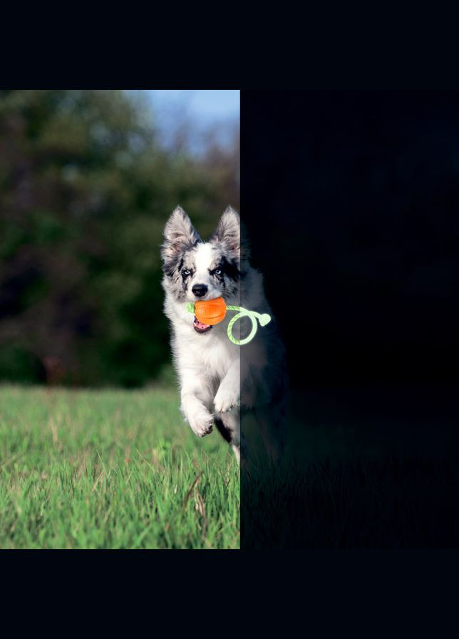 Мячик ЛАЙКЕР7 Люми на шнуре (диаметр 7см) Liker (342414066)