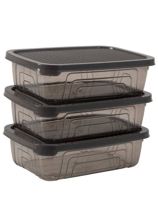 Набор контейнеров Style Grey 0.6 л (162331-012) (6988936) Herevin (362474771)