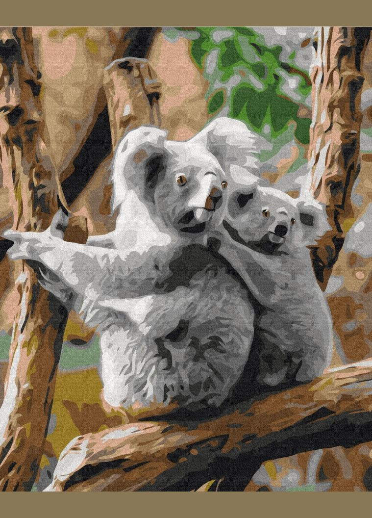 Картина за номерами Сім'я коал 40х50 Картини за номерами розпис тварини Малювати за номерами BS52451 Brushme (308987851)