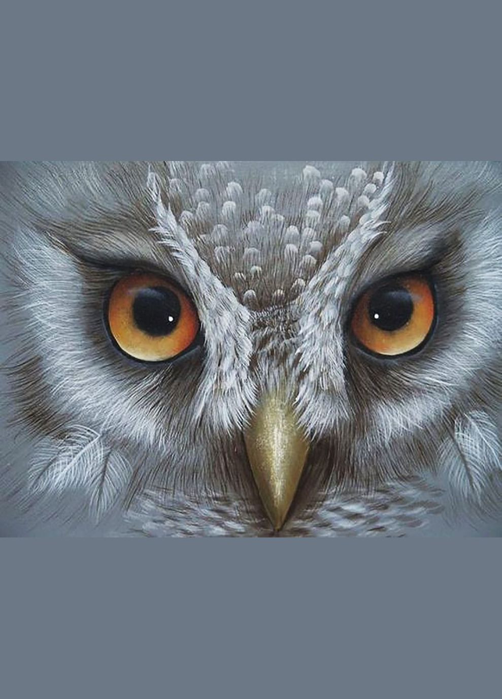 Алмазна мозаїка Чарівний діамант (333711019)