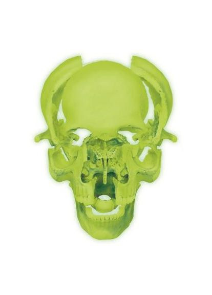 Пазл 4D Master Об'ємна анатомічна модель Череп людини світиться (FM-626113) SKL Объемная анатомическая модель Череп человека светя (366067063)