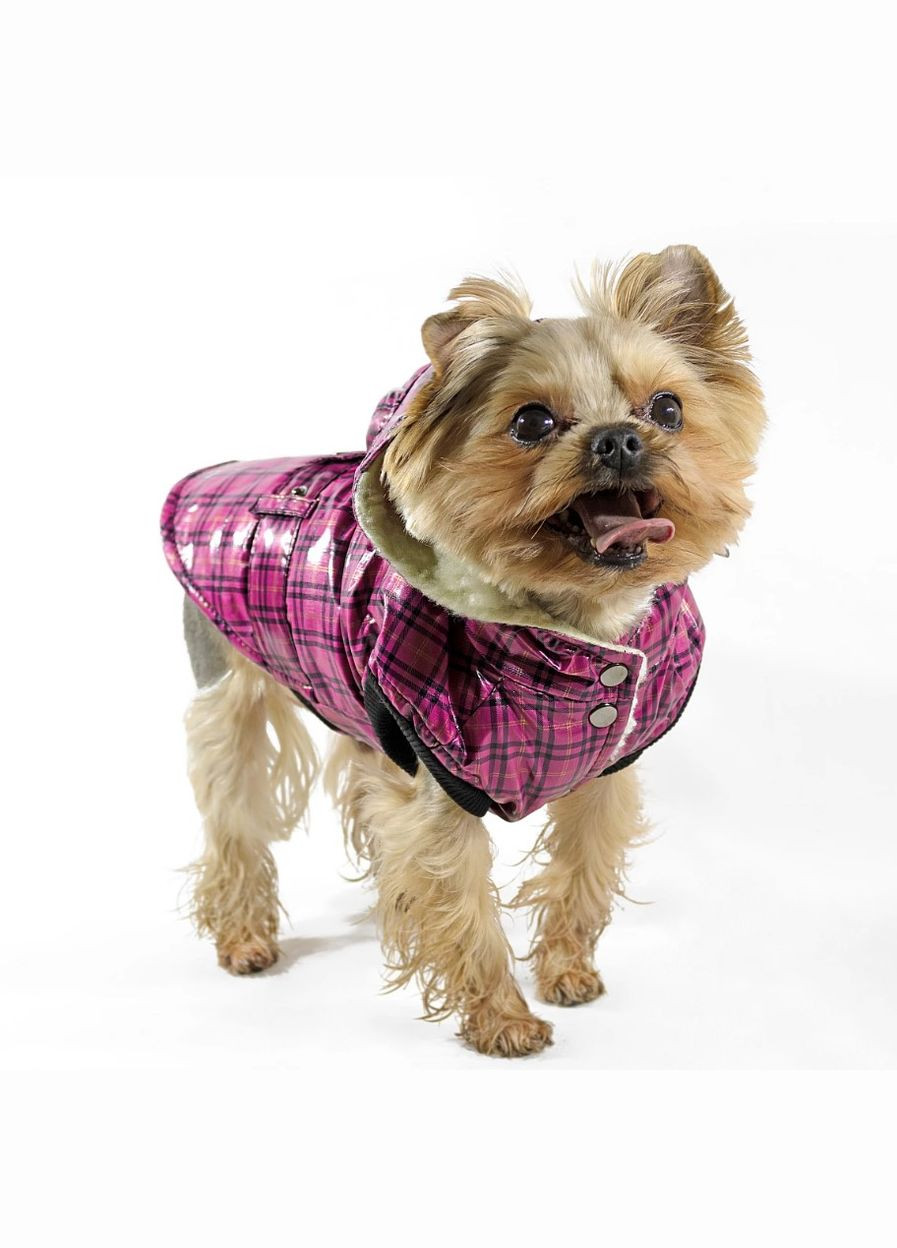 Жилет Живчик №2 для породы Йорк 34 х 46 см (6820479483067) Lucky Pet (318101221)