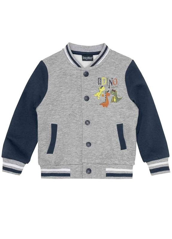 Кофта (бомбер) для хлопчика утеплена Lupilu (302785592)