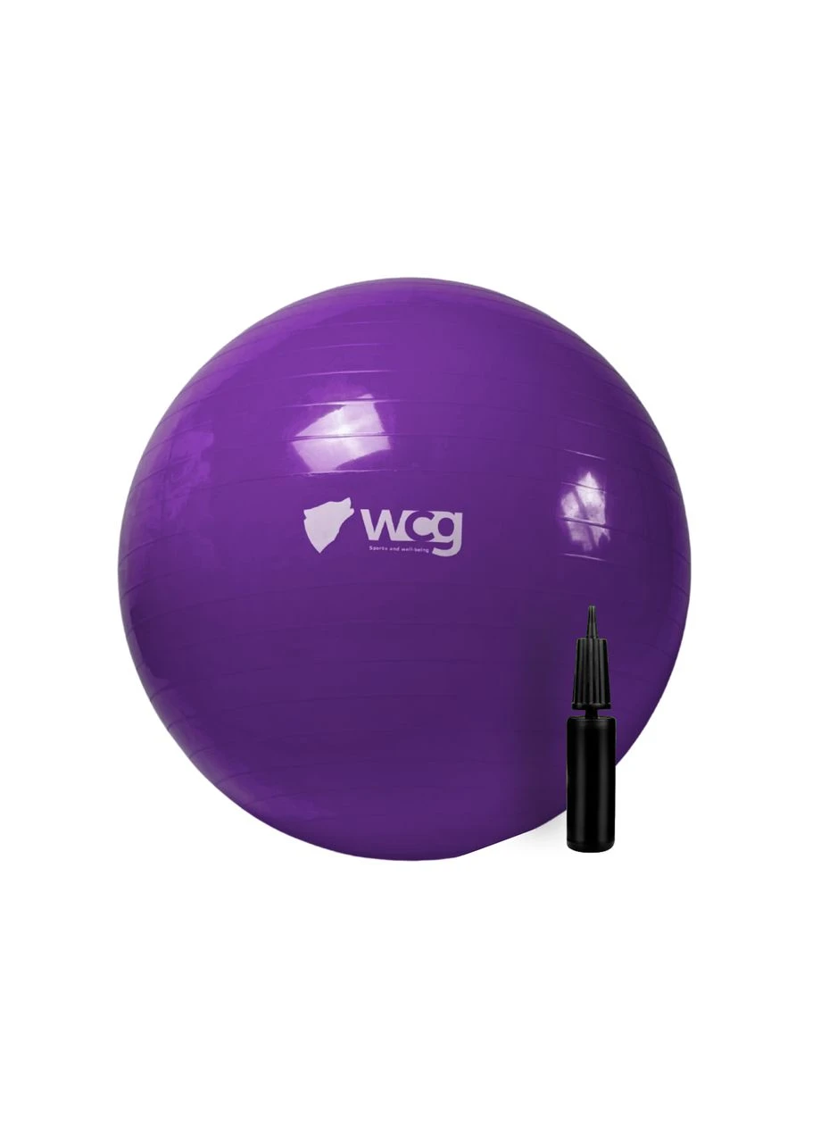 Фітнес мяч WCG (342120992)
