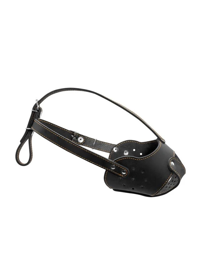 Намордник "CoLLaR" (стафф) чорний No Brand (363199331)