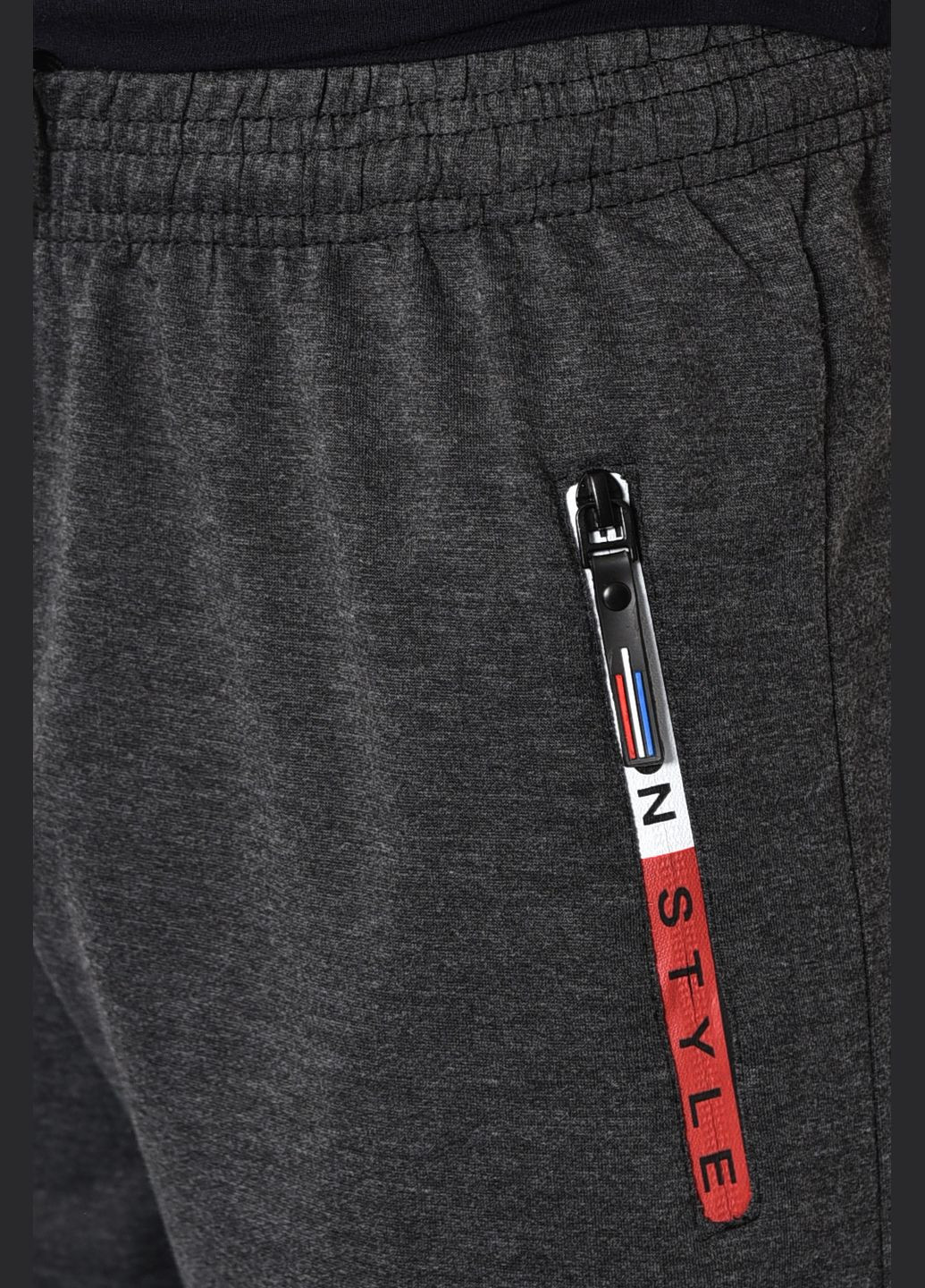 Спортивні штани чоловічі темно-сірого кольору Let's Shop (278761341)