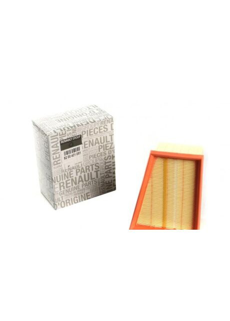 Фильтр воздушный (элемент) Trafic III 2.0i, Laguna, Megane, Clio II (пр-во ) Renault (368133566)