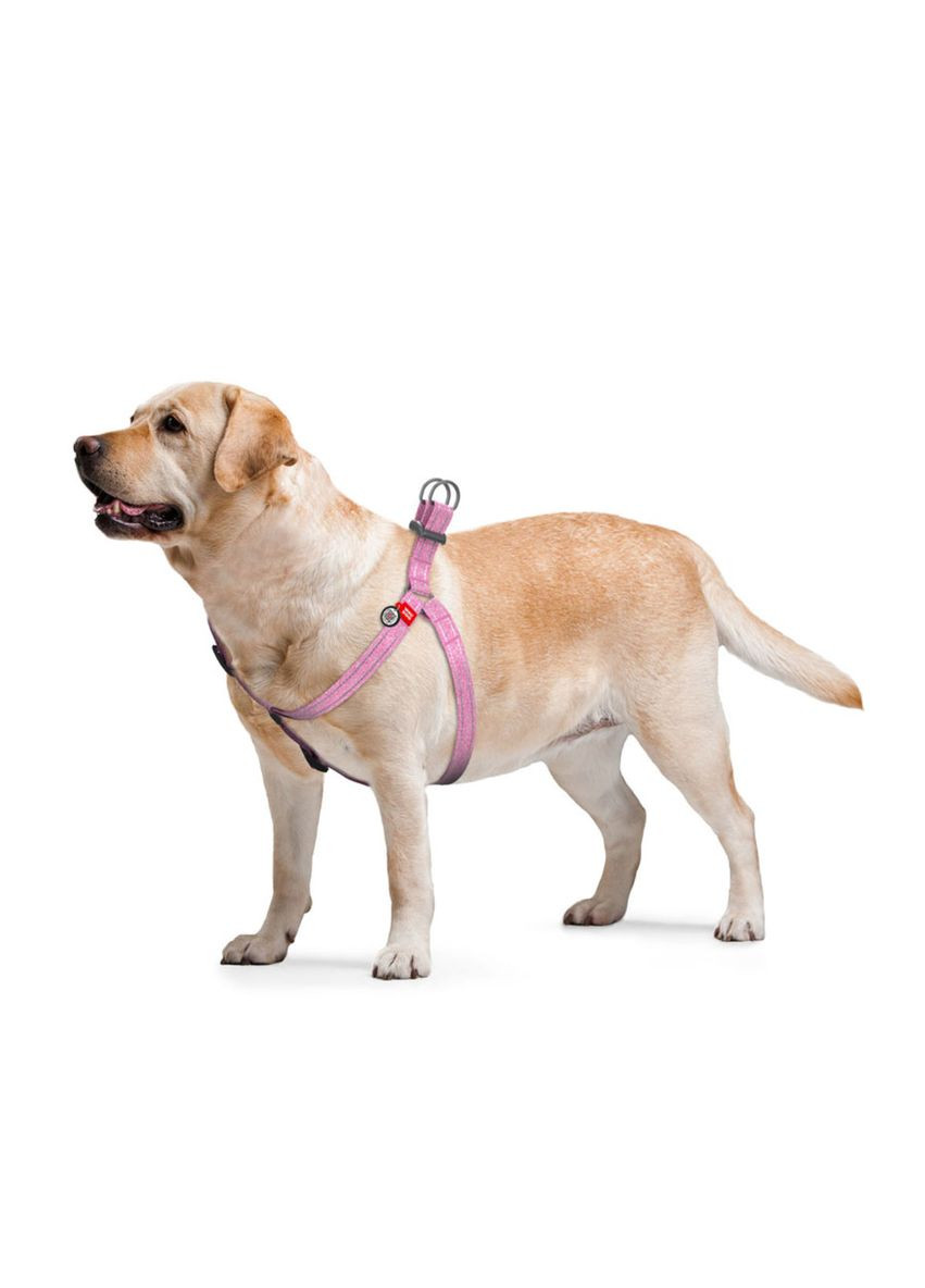 Шлей Re-cotton Світловідбивна пластикова фастекс M Ш 20 мм Дл 50-80 см Рожевий WAUDOG (322125253)