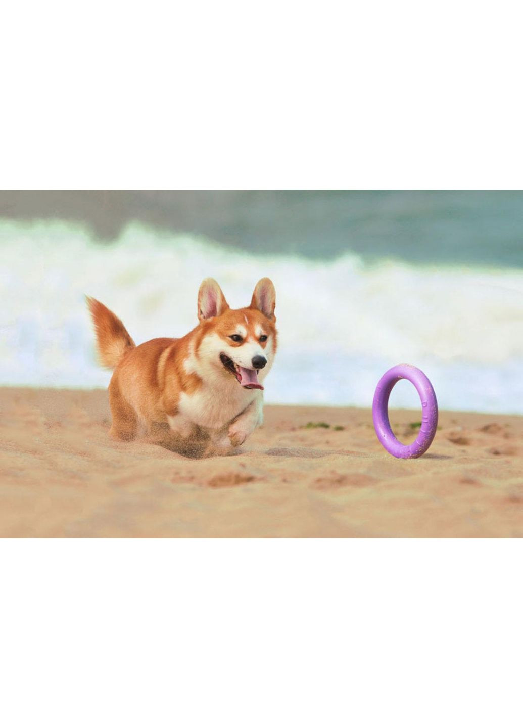 Тренувальний снаряд для собак PULLER 19.5 см Collar (362136126)