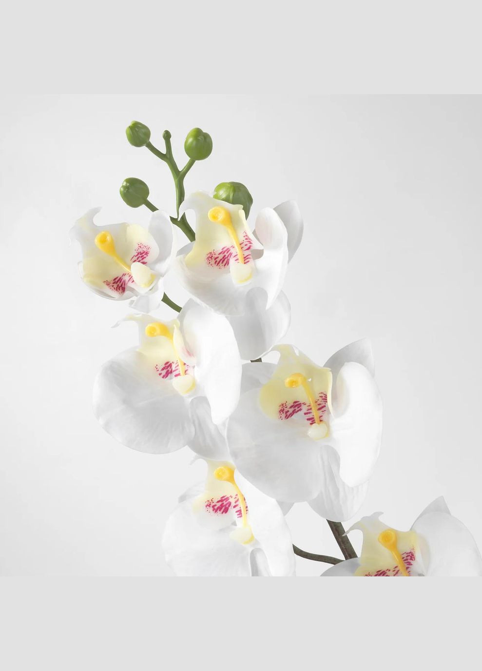 Штучна квітка ІКЕА SMYCKA 60 см (80333585) IKEA (278407154)