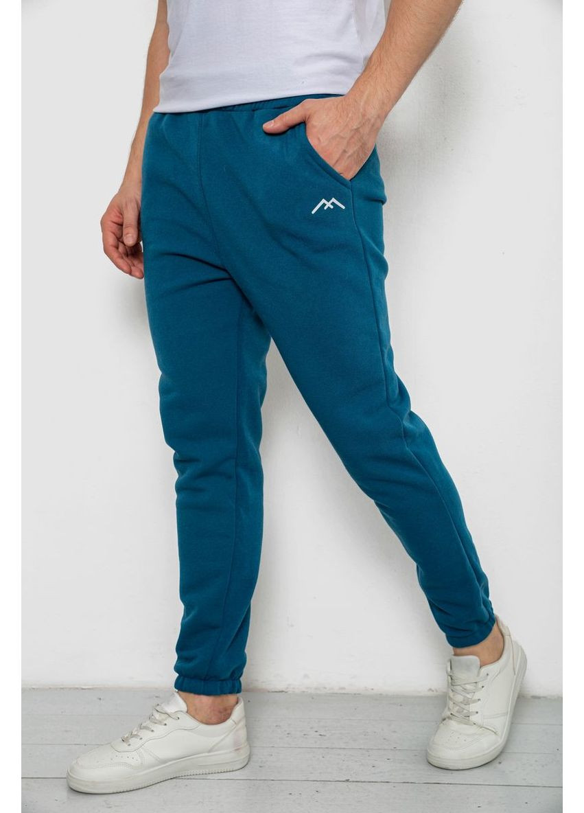 Изумрудные спортивные демисезонные брюки Ager