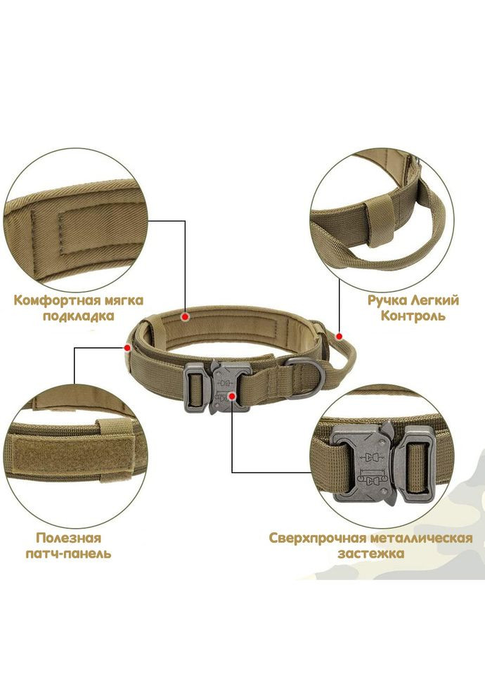 Ошейник с поводком для собак, нейлоновый с металлической пряжкой-фастекс, Коричневый L (45-55см) No Brand (299915646)