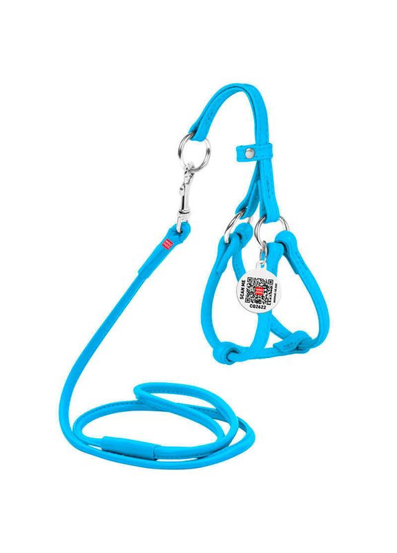 WAUDOG Glamour - Шлея шкіряна кругла з повідцем і QR паспортом для собак - XXS/0,6х26-46х30-50 см Collar (329141569)